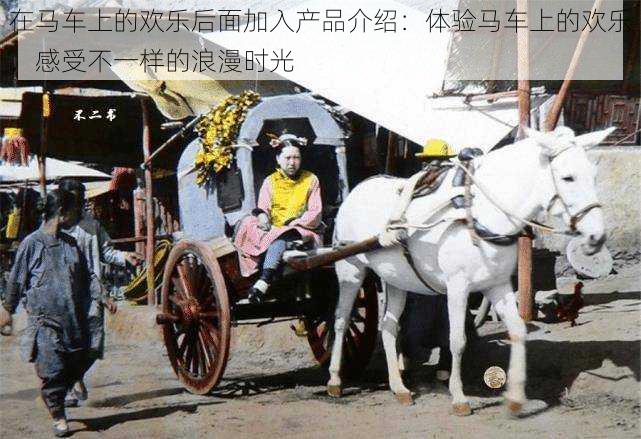 在马车上的欢乐后面加入产品介绍:体验马车上的欢乐,感受不一样的浪漫时光