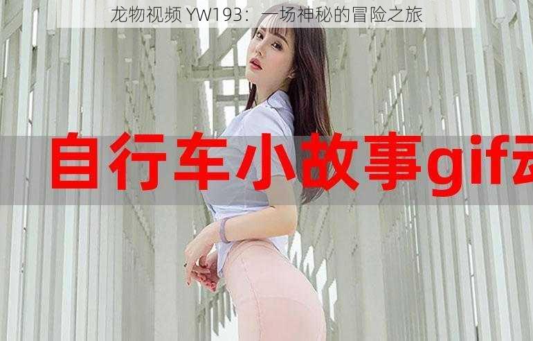 龙物视频 YW193:一场神秘的冒险之旅