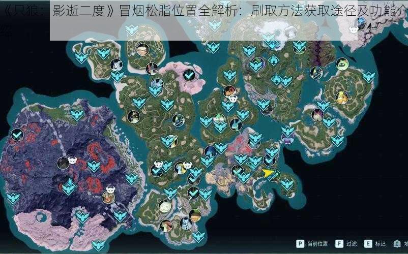 《只狼:影逝二度》冒烟松脂位置全解析:刷取方法获取途径及功能介绍
