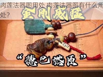 肉莲法器图用处 肉莲法器图有什么用处?